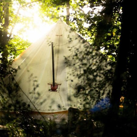 Hollington Park Glamping Hotel Нюбъри Екстериор снимка