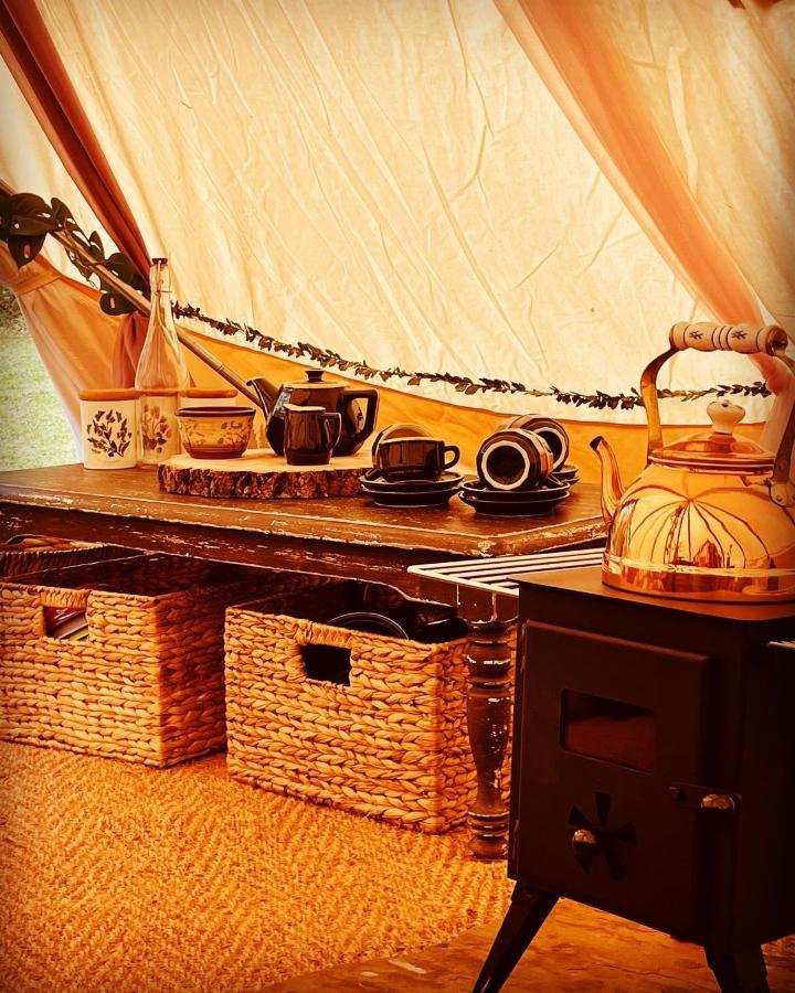 Hollington Park Glamping Hotel Нюбъри Екстериор снимка