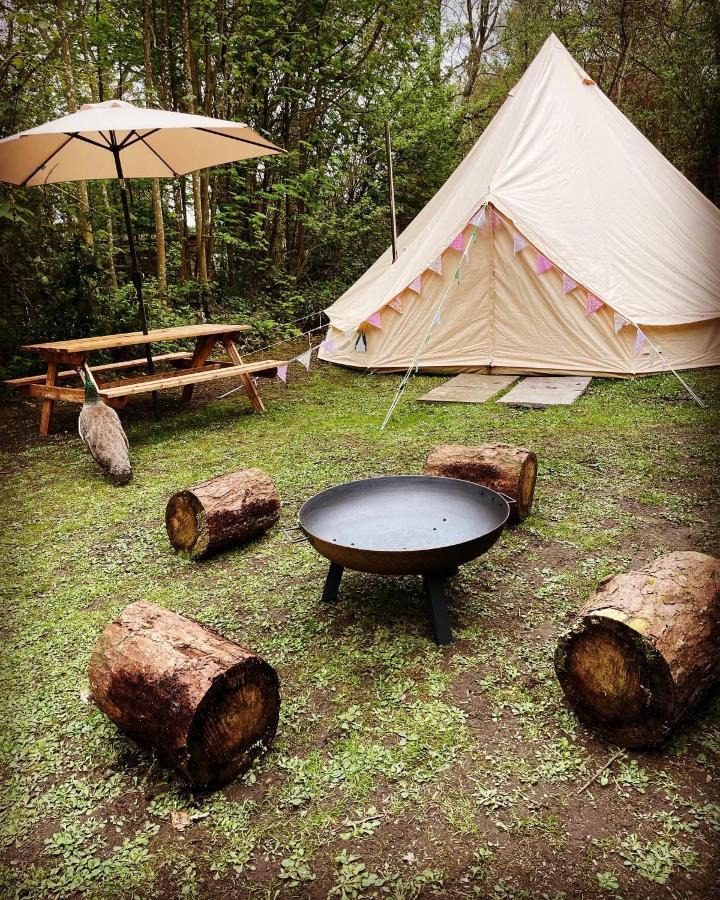 Hollington Park Glamping Hotel Нюбъри Екстериор снимка