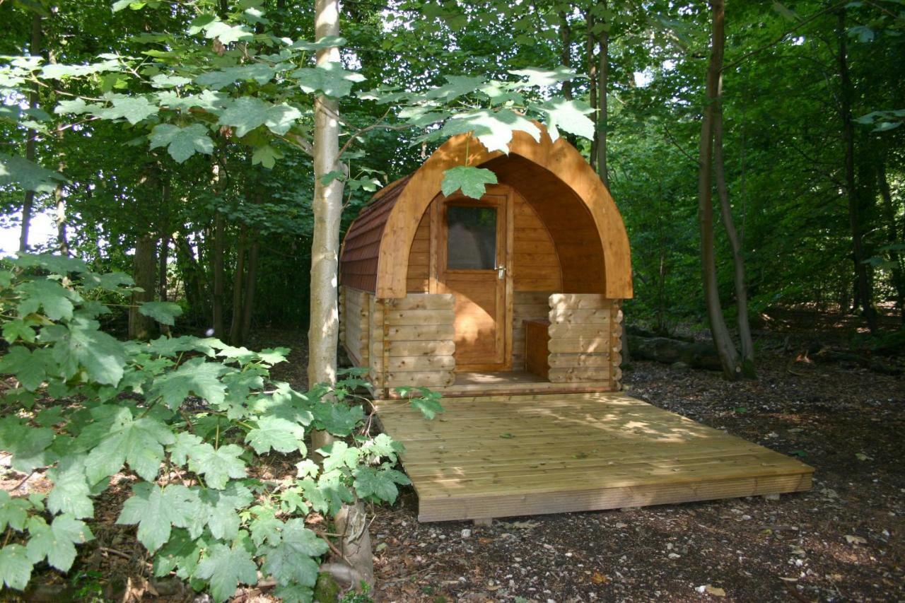 Hollington Park Glamping Hotel Нюбъри Екстериор снимка